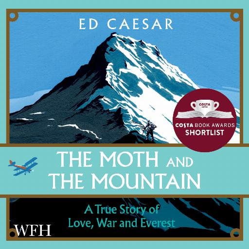 book cover for The Moth and the Mountain