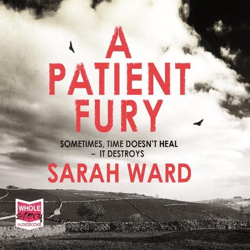 book cover for A Patient Fury