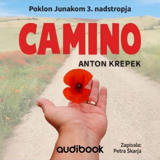 book cover for CAMINO - Poklon junakom 3. nadstropja