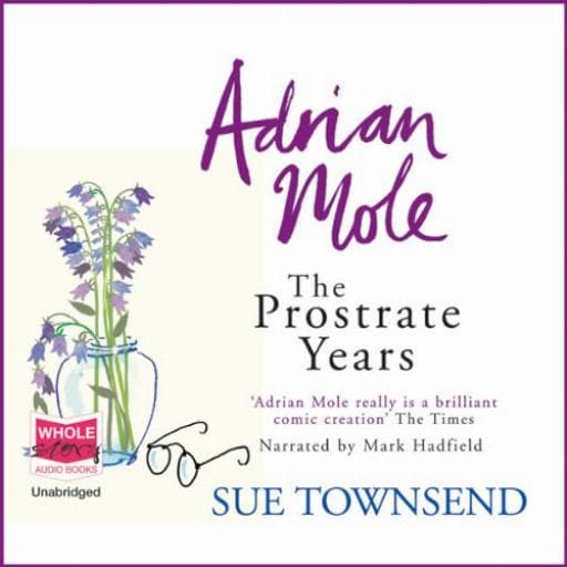 book cover for Adrian Mole