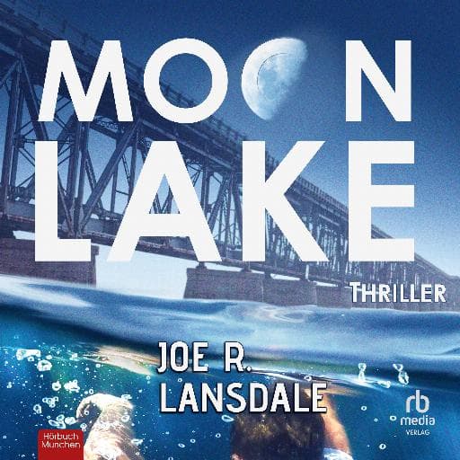 book cover for Moon Lake