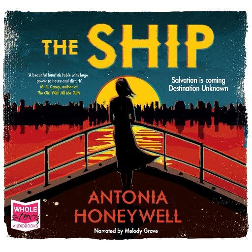 book cover for The Ship