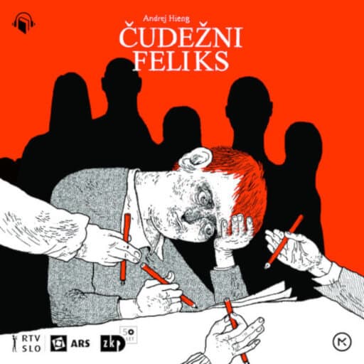 book cover for Čudežni feliks