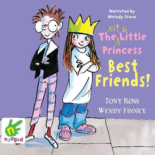 book cover for The Not So Little Princess