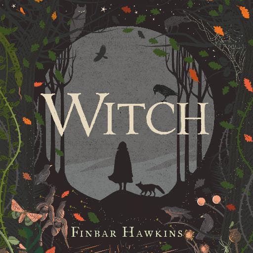 book cover for Witch