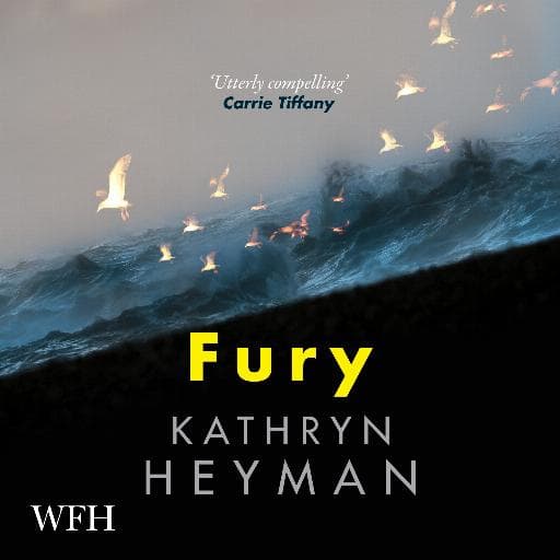 book cover for Fury