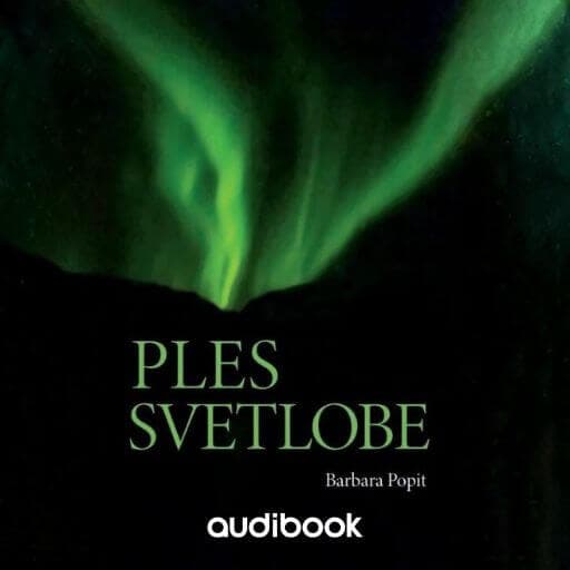 book cover for Ples svetlobe