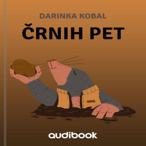 book cover for Črnih pet