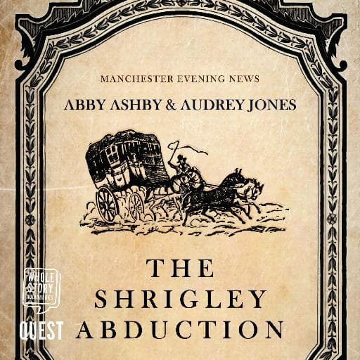 book cover for The Shrigley Abduction