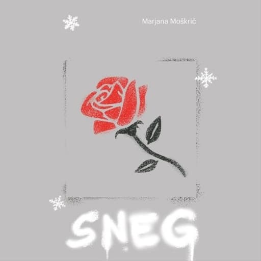 book cover for Sneg