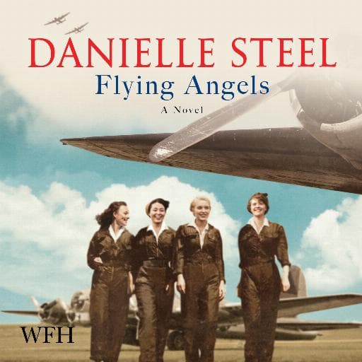 book cover for Flying Angels
