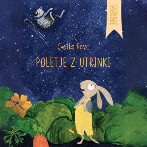 book cover for Poletje z utrinki