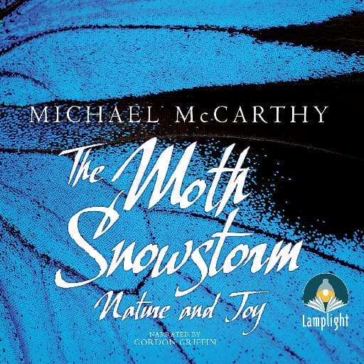 book cover for The Moth Snowstorm