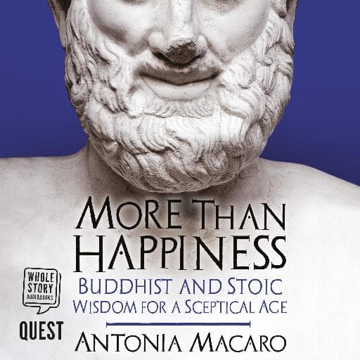 book cover for More Than Happiness