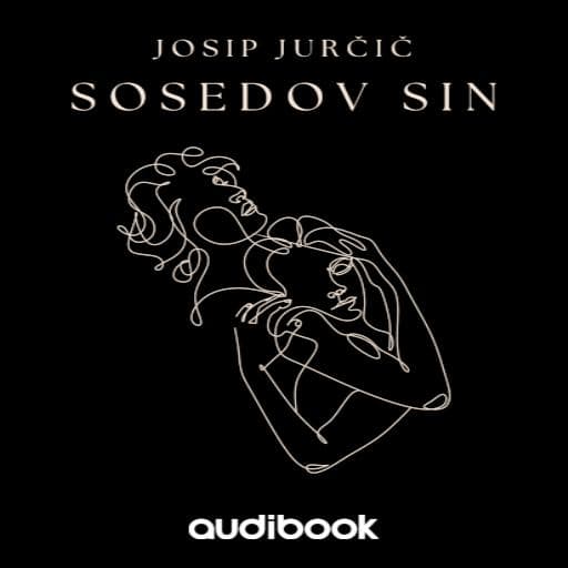 book cover for Sosedov sin