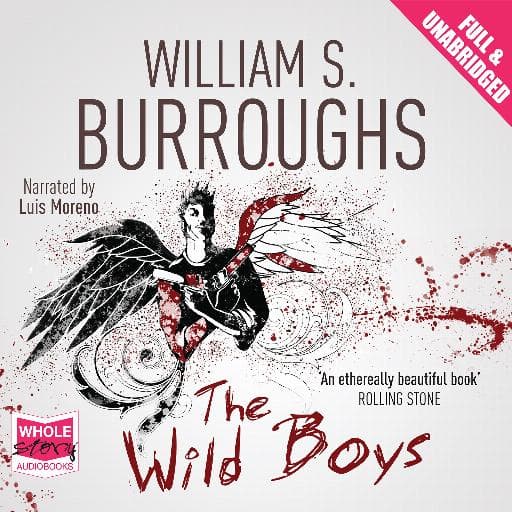 book cover for The Wild Boys