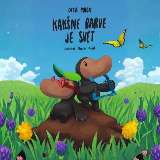 book cover for Kakšne barve je svet