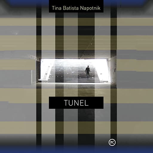 book cover for Tunel