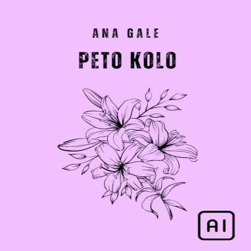 book cover for Peto kolo