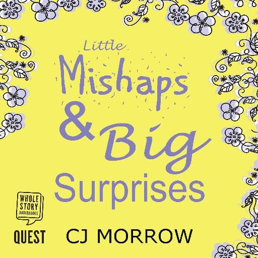 book cover for Little Mishaps and Big Surprises
