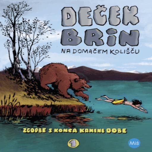 book cover for Deček Brin na domačem kolišču