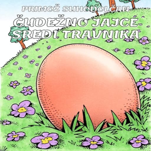 book cover for Čudežno jajce sredi travnika