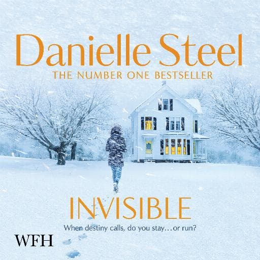 book cover for Invisible