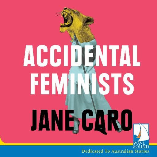 book cover for Accidental Feminists