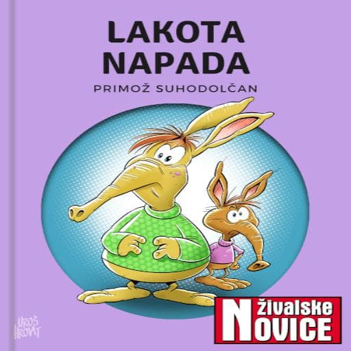 book cover for Lakota napada!