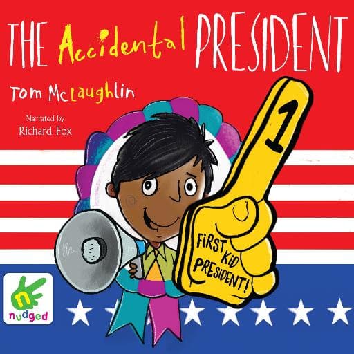 book cover for The Accidental President