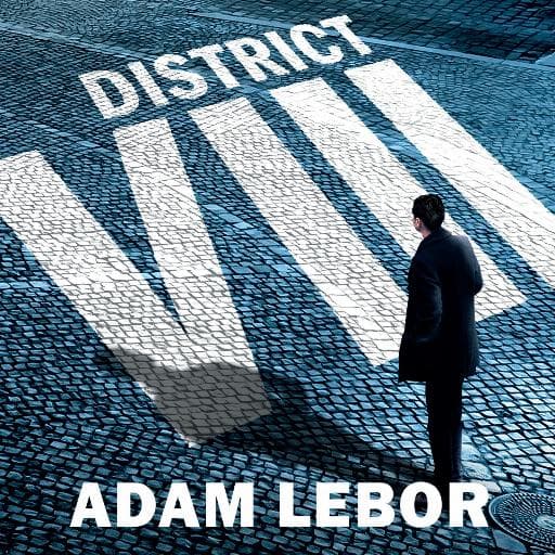 book cover for District VIII