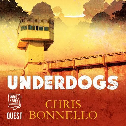 book cover for Underdogs