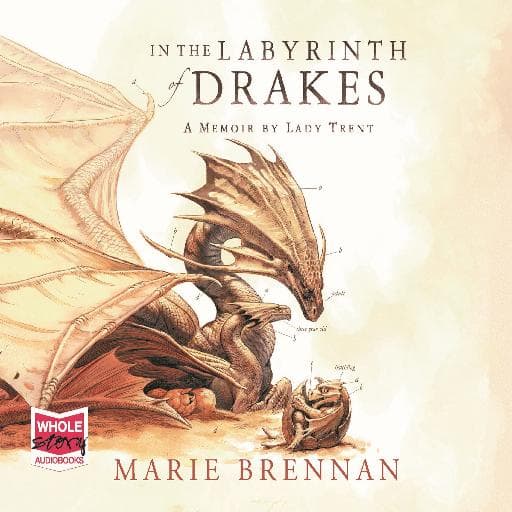 book cover for In the Labyrinth of Drakes