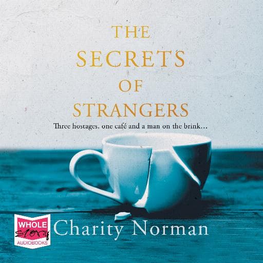 book cover for The Secrets of Strangers