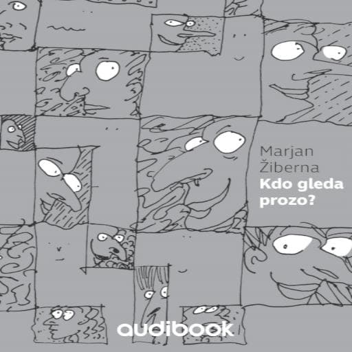 book cover for Kdo gleda prozo?