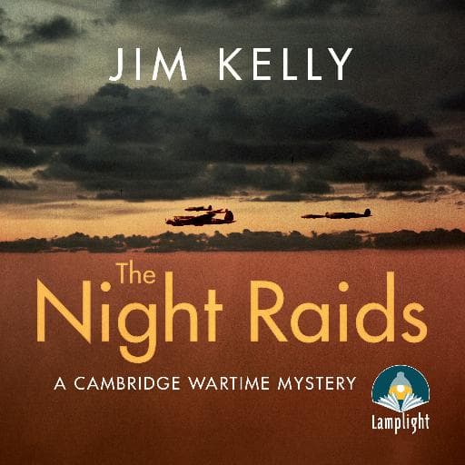 book cover for The Night Raids