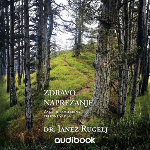 book cover for Zdravo naprezanje