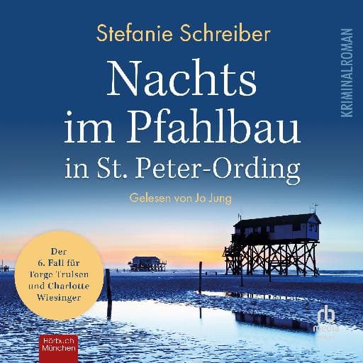 book cover for Nachts im Pfahlbau in St. Peter-Ording