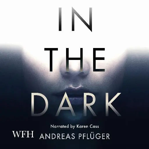 book cover for In the Dark