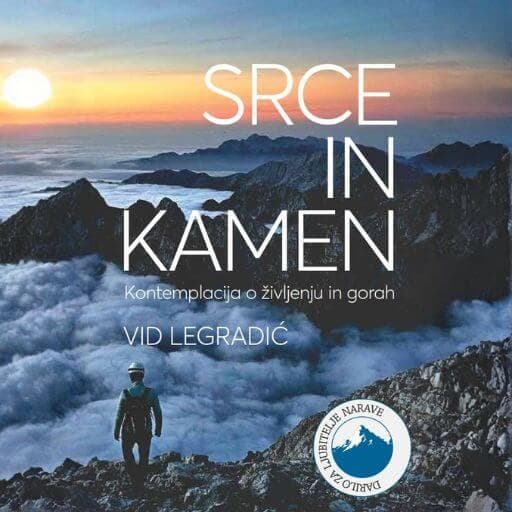 book cover for Srce in kamen