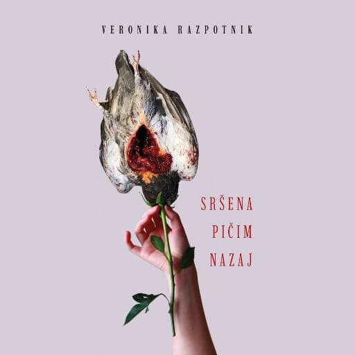 book cover for Sršena pičim nazaj