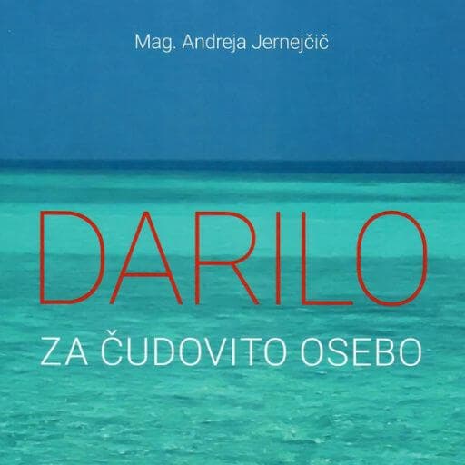 book cover for Darilo za čudovito osebo