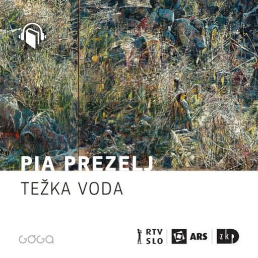 book cover for Težka voda