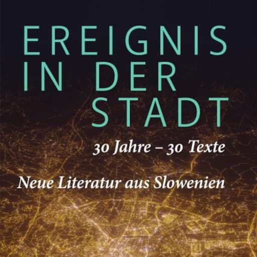 book cover for Ereignis in der Stadt