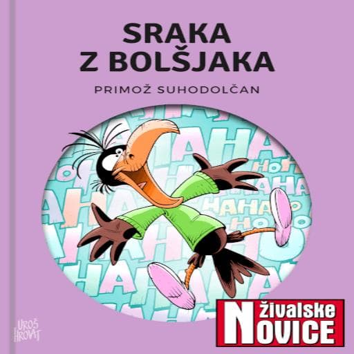 book cover for Sraka z bolšjaka