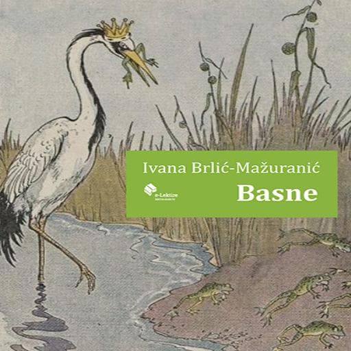 book cover for Basne