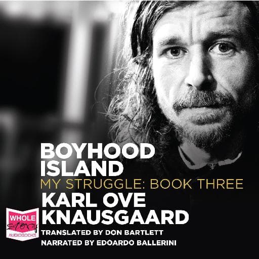 book cover for Boyhood Island