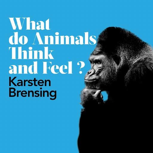 book cover for What Do Animals Think and Feel?