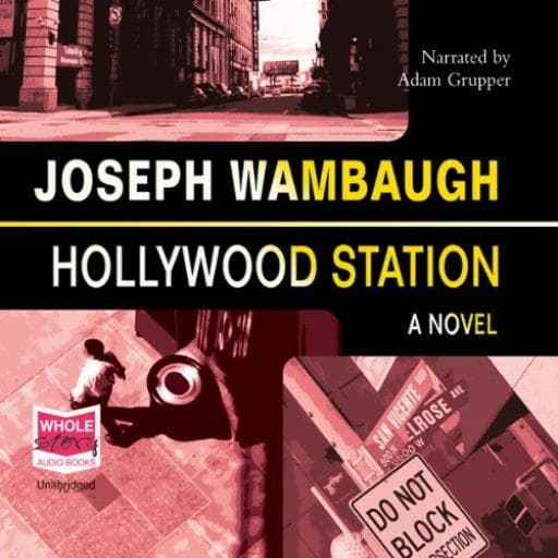 book cover for Hollywood Station
