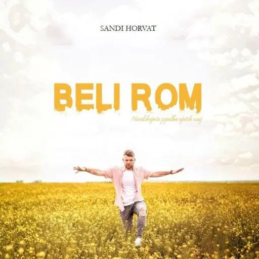 book cover for Beli Rom